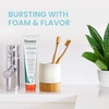 image:imageHimalaya Botanique Neem amp Pomegranate Toothpaste Herbal Mint 529 oz  Fluoride Free Toothpaste Fights Plaque amp Freshens Breath  Vegan Gluten Free No SLS No Artificial Flavors or ColorsMint