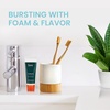 image:imageHimalaya Botanique Neem amp Pomegranate Toothpaste Herbal Mint 529 oz  Fluoride Free Toothpaste Fights Plaque amp Freshens Breath  Vegan Gluten Free No SLS No Artificial Flavors or ColorsMint