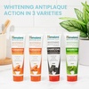 image:imageHimalaya Botanique Turmeric Whitening Antiplaque Toothpaste Mint 2 Pack  Fluoride Free Toothpaste With Turmeric amp Coconut Oil Whitening Toothpaste  No Artificial Flavors or Colors SLS Free Vegan4 Ounce Pack of 4