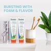 image:imageHimalaya Botanique Whitening Complete Care Toothpaste Mint 529 oz 2 Pack  Fluoride Free Toothpaste Supports Teeth Whitening amp Fights Plaque  No Artificial Flavors or Colors SLS Free Cruelty FreeVariety