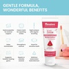 image:imageHimalaya Botanique Whitening Nano Hydroxyapatite Toothpaste Mint 4 oz  Nano Hydroxyapatite Toothpaste Support Enamel Strength amp IntegrityGreat for Sensitive Teeth Fluoride FreeSLS Free amp Vegan4 Ounce Pack of 4