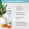 image:imageHimalaya Botanique Xylitol Toothpaste Mint Flavor 4 oz 4 Pack  Fluoride Free Toothpaste to Whiten Teeth Fight Plaque amp Freshen Breath  Vegan Gluten Free No Artificial Flavors or Colors4 Ounce Pack of 1