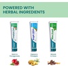 image:imageHimalaya Complete Care Toothpaste Fights Plaque Freshens Breath Fluoride Free PlantBased with Neem Pomegranate No Artificial Flavors SLSFree Cruelty Free Mint Flavor 617 Oz 2 Pack617 Ounce Pack of 3