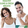 image:imageHimalaya Complete Care Toothpaste Fights Plaque Freshens Breath Fluoride Free PlantBased with Neem Pomegranate No Artificial Flavors SLSFree Cruelty Free Mint Flavor 617 Oz 2 Pack617 Ounce Pack of 2