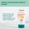 image:imageHimalaya Gentle Exfoliating Apricot Scrub with Vitamin E Exfoliates Dead Skin Cells For All Skin Types Free from Parabens SLS and Phthalates 150 ml 507 oz507 Fl Oz Pack of 1