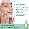 image:imageHimalaya Purifying Neem Foaming Face Wash SoapFree Daily Foaming Facial Cleanser with Neem amp Turmeric for Deep Cleaning ParabenFree Dermatologically Tested 150 ml 507 oz507 Fl Oz Pack of 1